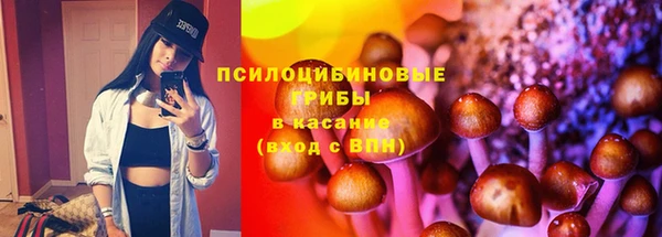 кристаллы Дмитриев