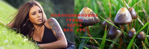 соль курить ск Михайловск