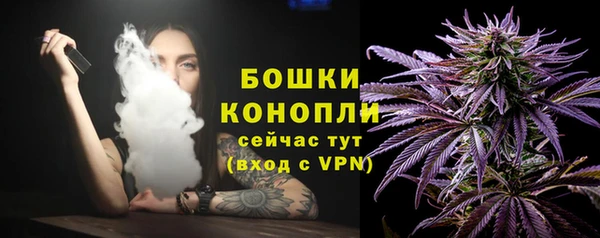 гашик Воткинск